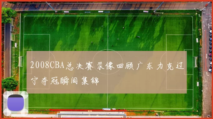 2008CBA总决赛录像回顾广东力克辽宁夺冠瞬间集锦
