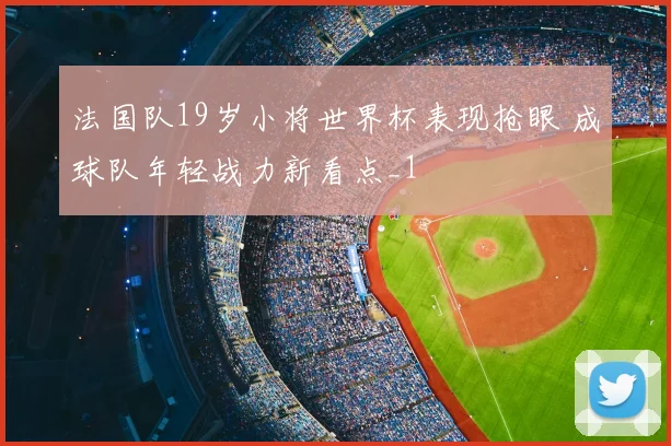 法国队19岁小将世界杯表现抢眼 成球队年轻战力新看点_1
